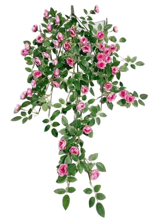 Hanging Plant 20