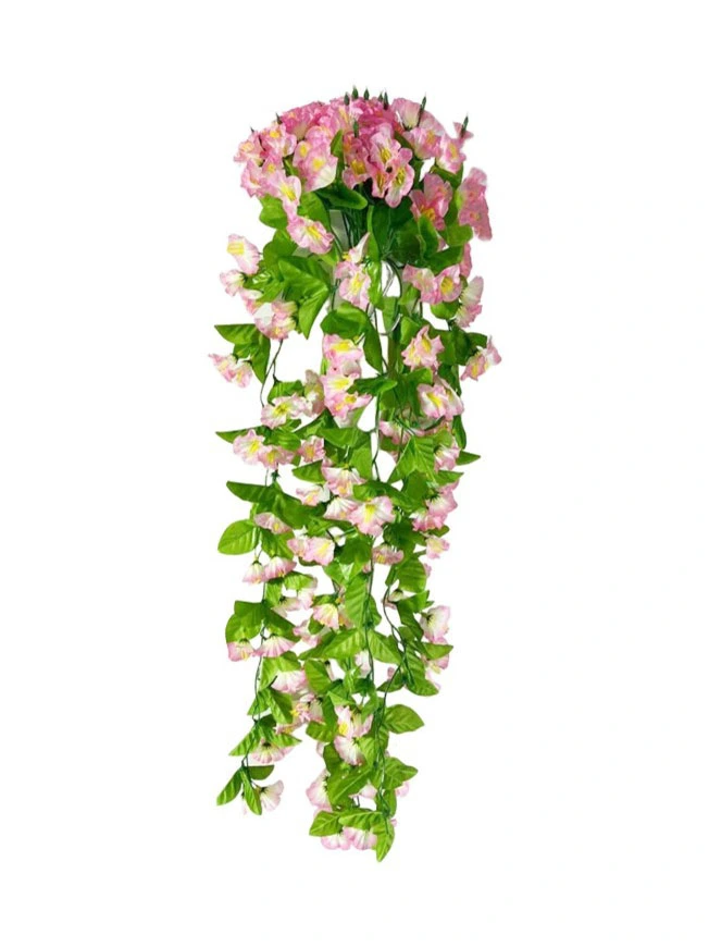 Hanging Plant 22 Hanging Plant 22