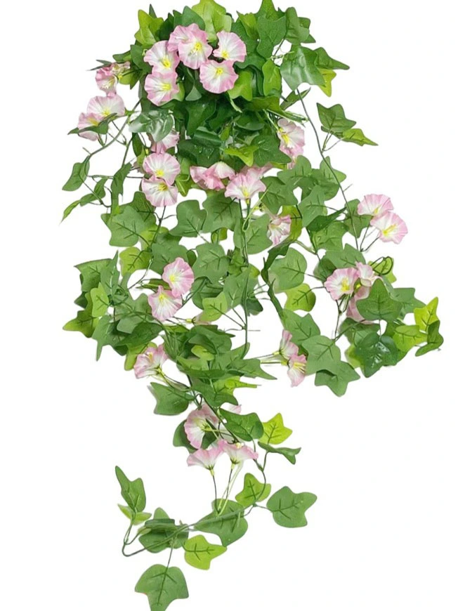 Hanging Plant 23