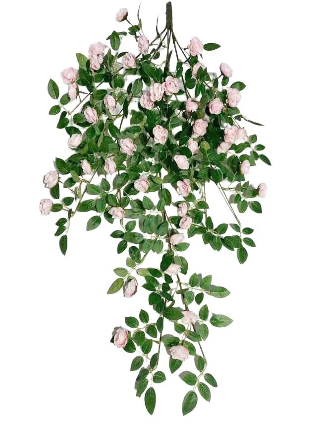 Hanging Plant 25 Hanging Plant 25