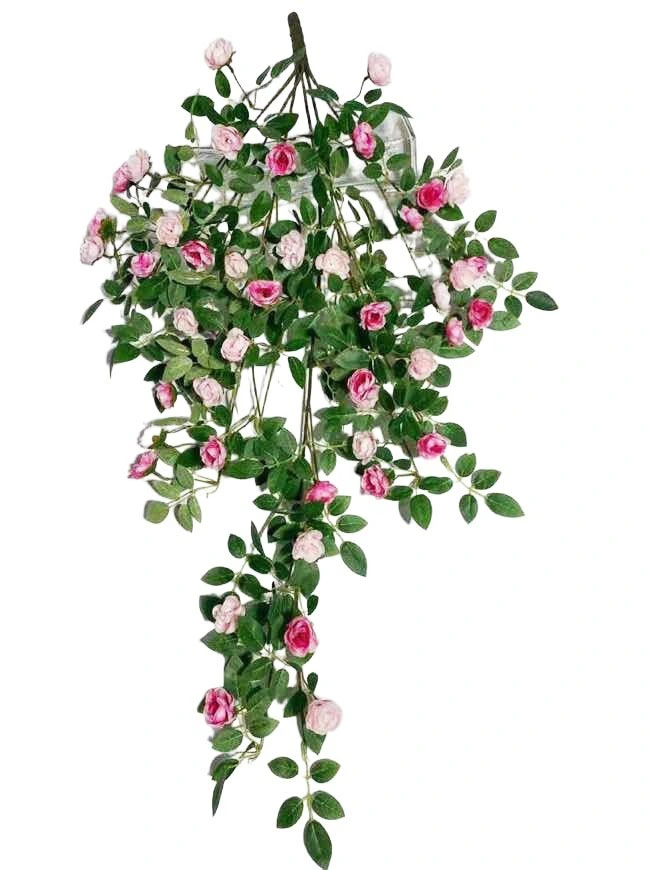 Hanging Plant 27 Hanging Plant 27