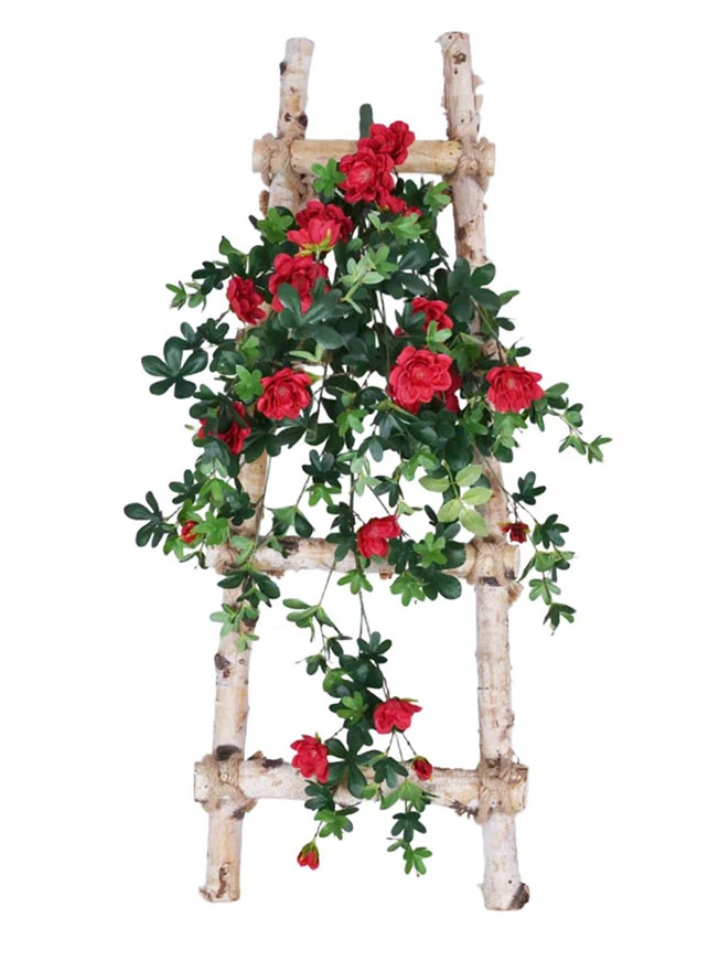 Hanging Plant 29