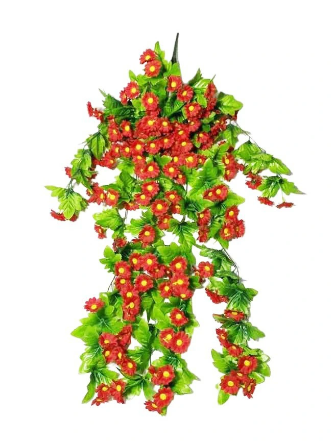 Hanging Plant 31 Hanging Plant 31