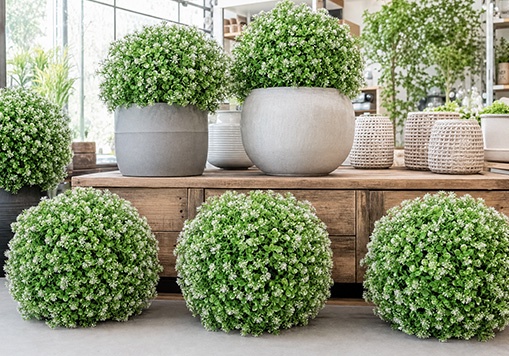Interior Decoration 