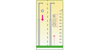 Vertical Ball Rebound