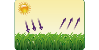 UV Stability