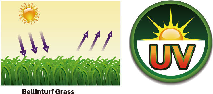 UV Stability