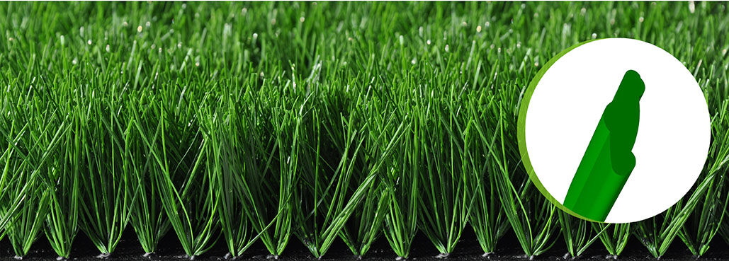 Bellin-Evolution 60160T Bellin-Evolution 60160T