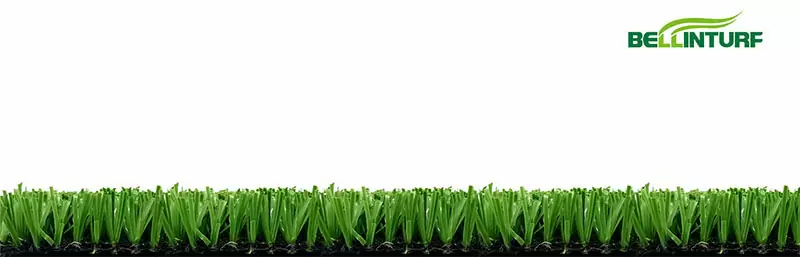 Winner set
