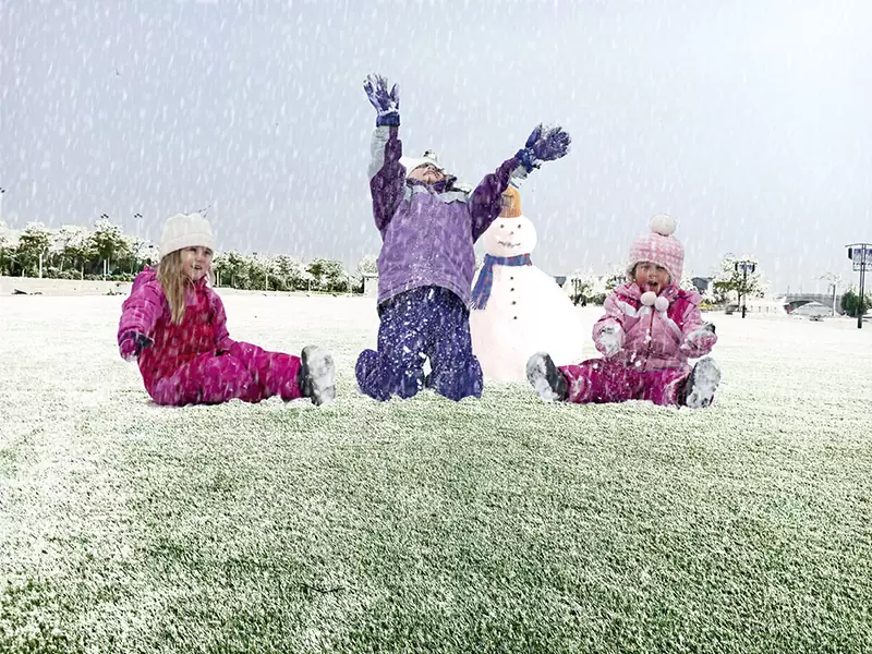 How to clean up your turf after snow