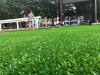 Artificial grass daily maintenance