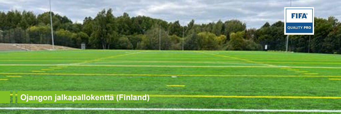 football pitch grass