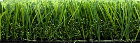 Bellin-Fuerte Pro D50 Bellin-Fuerte Pro D50