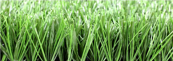 Bellin-Hybrid 60P Bellin-Hybrid 60P