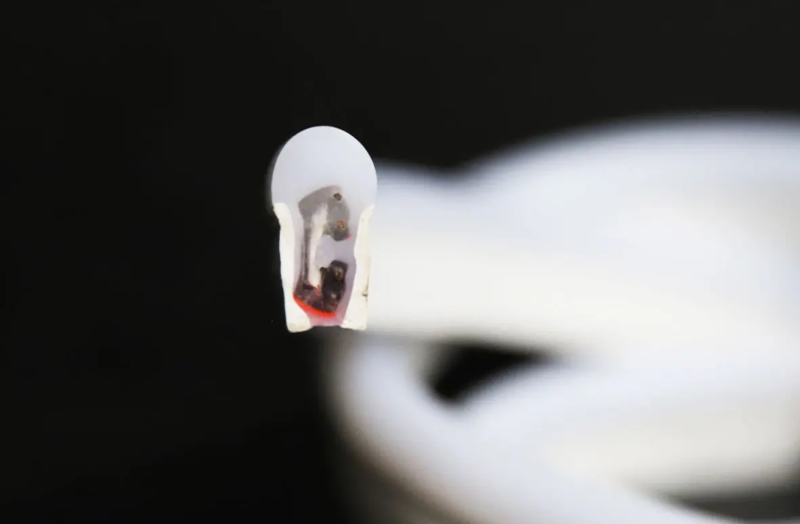 SMD 5050 14w/m 60leds/m 10*22mm led neon lights