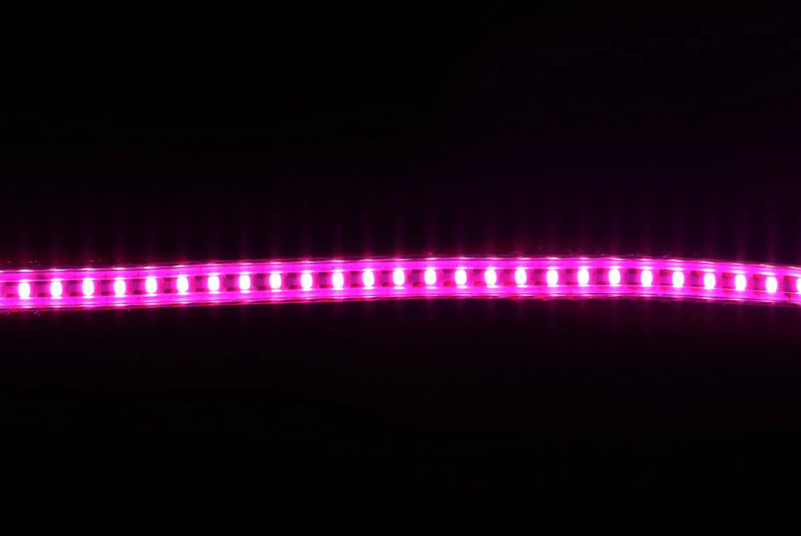 SMD 2835 120Leds/m 5v 12v led neon lights