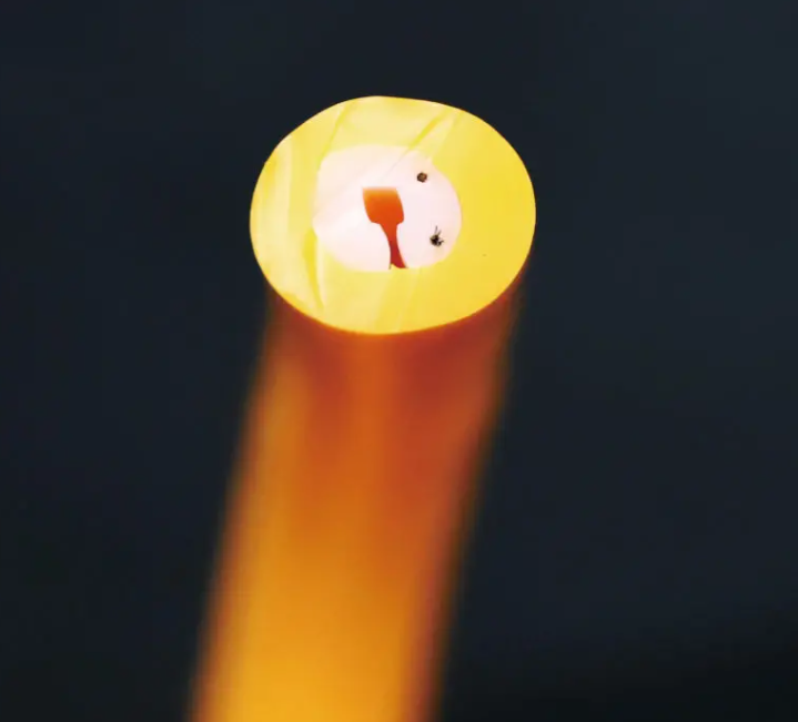 DIP 360 degree led neon lights 96leds/m 7w/m