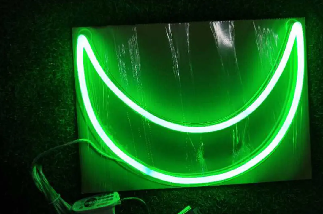 Moon model neon sign free shipping rgb neon sign