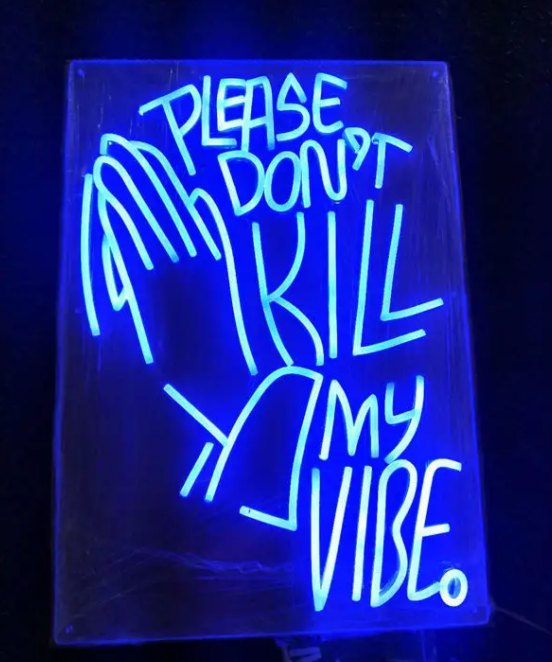 Please don't kill my vibe neon sign