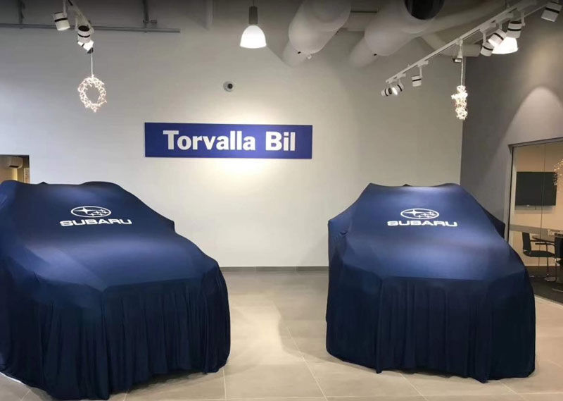 Swedish customer — Auto store