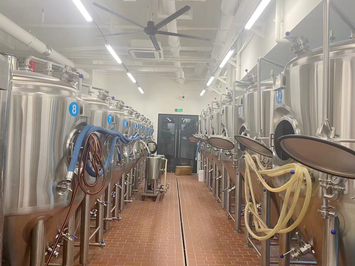 1000L Export Craft Beer Brewing Equipment – Complete Brewery with Packaging Line