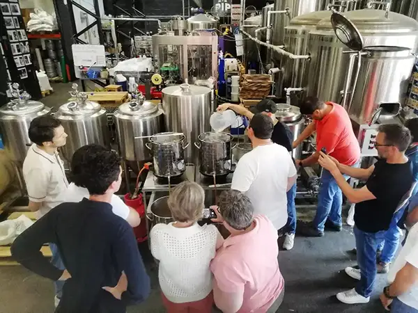 2000L 20BBL MicroBrewery Beer Brewery Equipment System Solutions