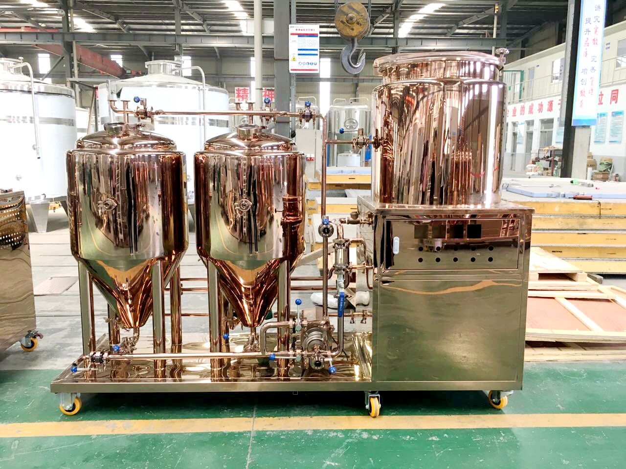 Pilot Beer Brewing System