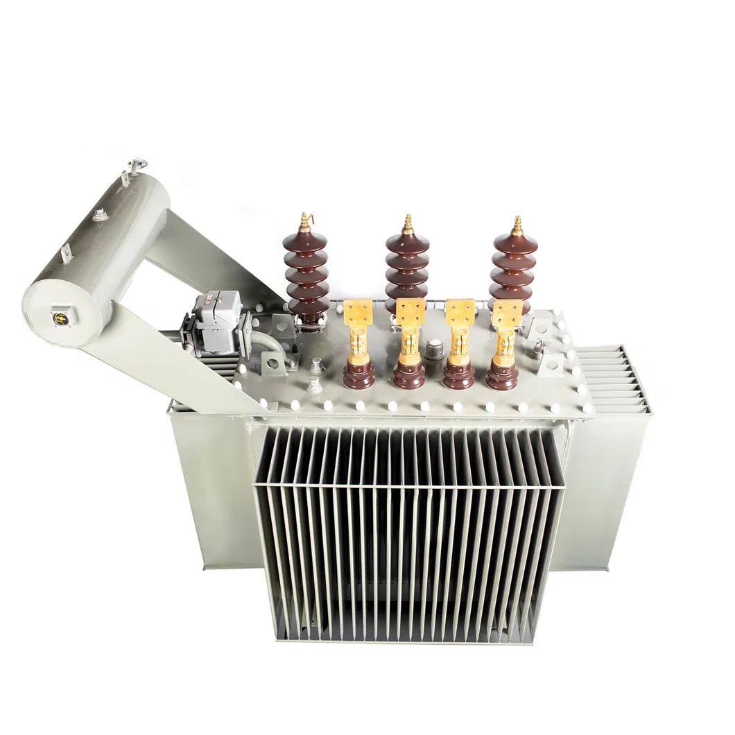 800kVA/33kv Oil Immersed Power Transformer Distribution Transformer