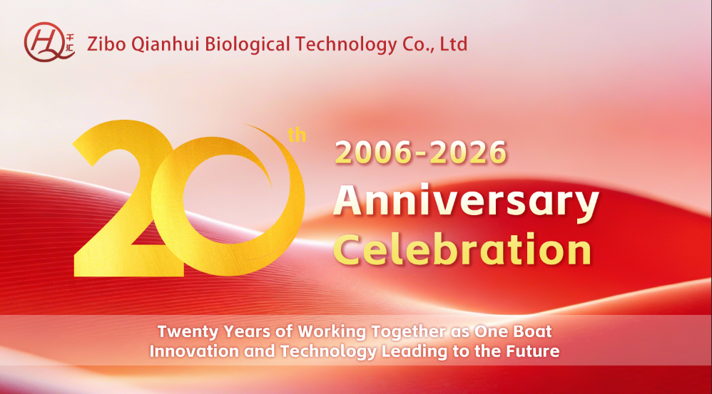 <2006-2026> 20th Anniversary | Forge Ahead for Another Decade