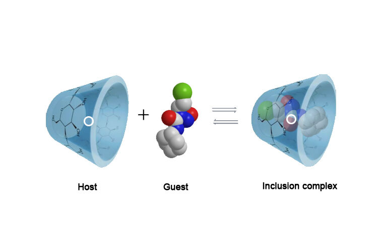 Inclusion Compound Of Cinnamaldehyde