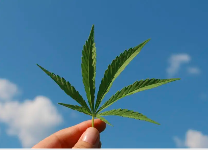 the usage of cyclodextrin in industrial hemp