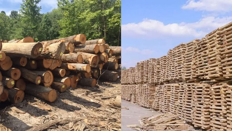 The difference between woodworking multi-blade saws