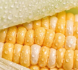 2030L UV Printer (7)