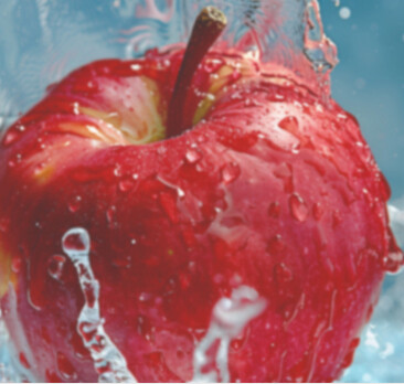 2513L UV Printer (21)