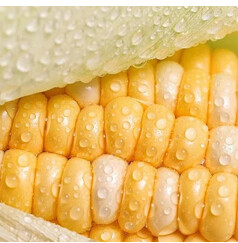 2513H UV Printer (33)