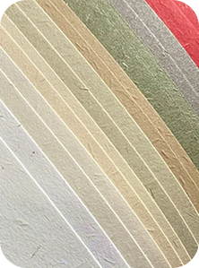 RS1800 Corrugated Cardboard Digital Printer (21)