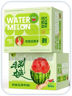 RS1800 Corrugated Cardboard Digital Printer (5)