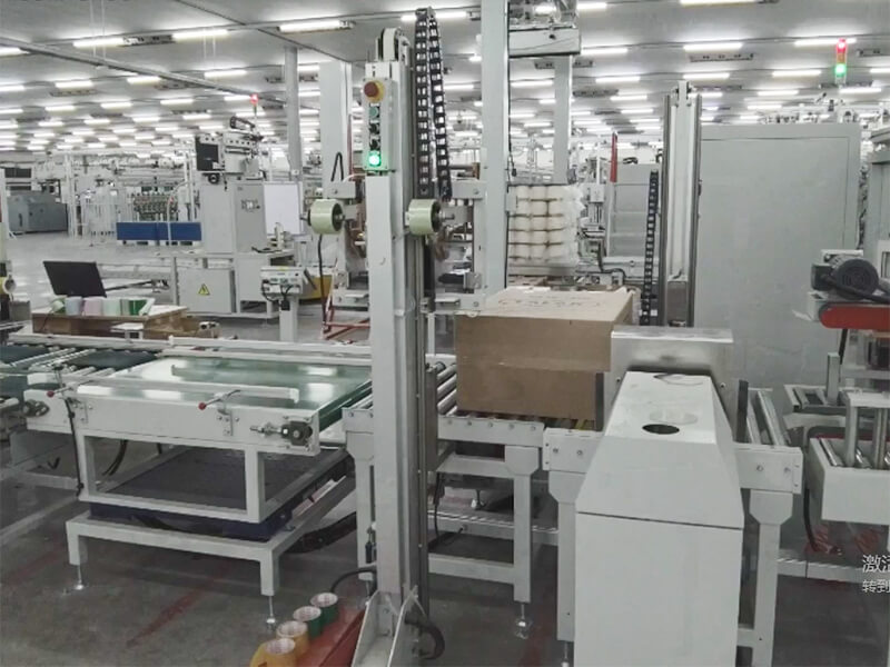 Automatic Carton Packing System