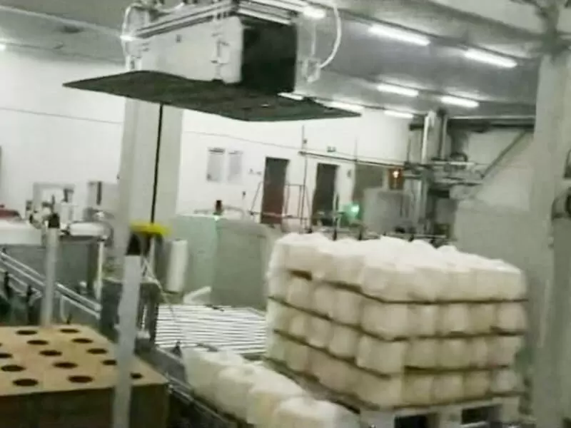 Palletizing System