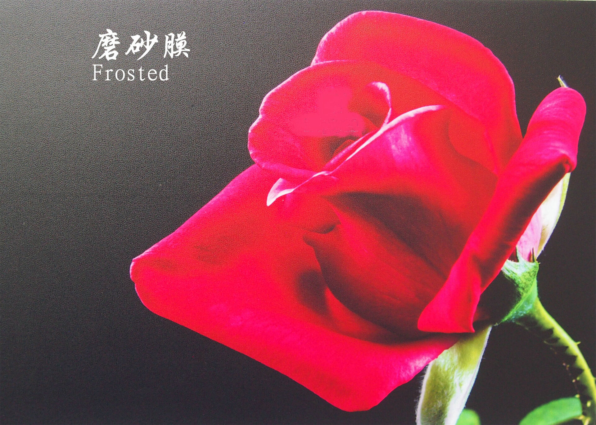 Cold Lamination Film