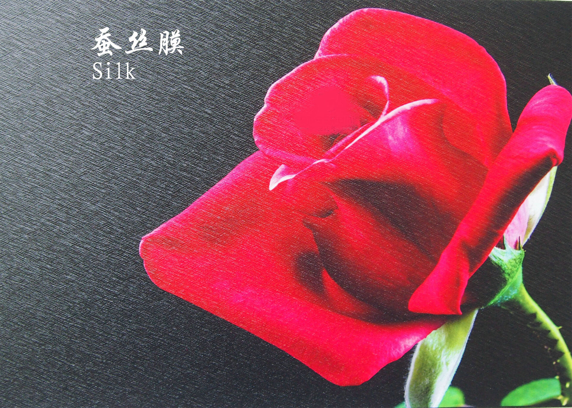 Cold Lamination Film