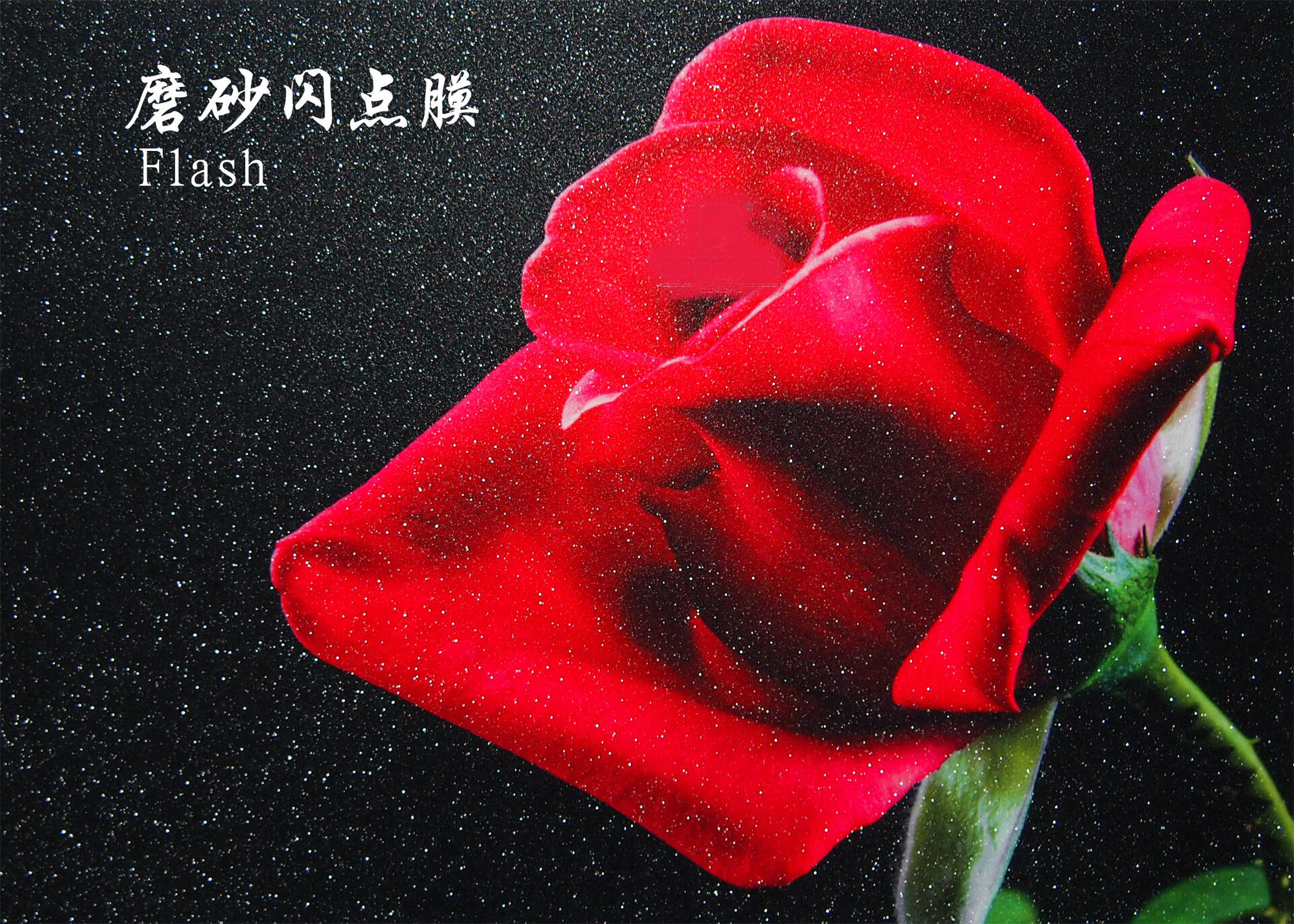 Cold Lamination Film