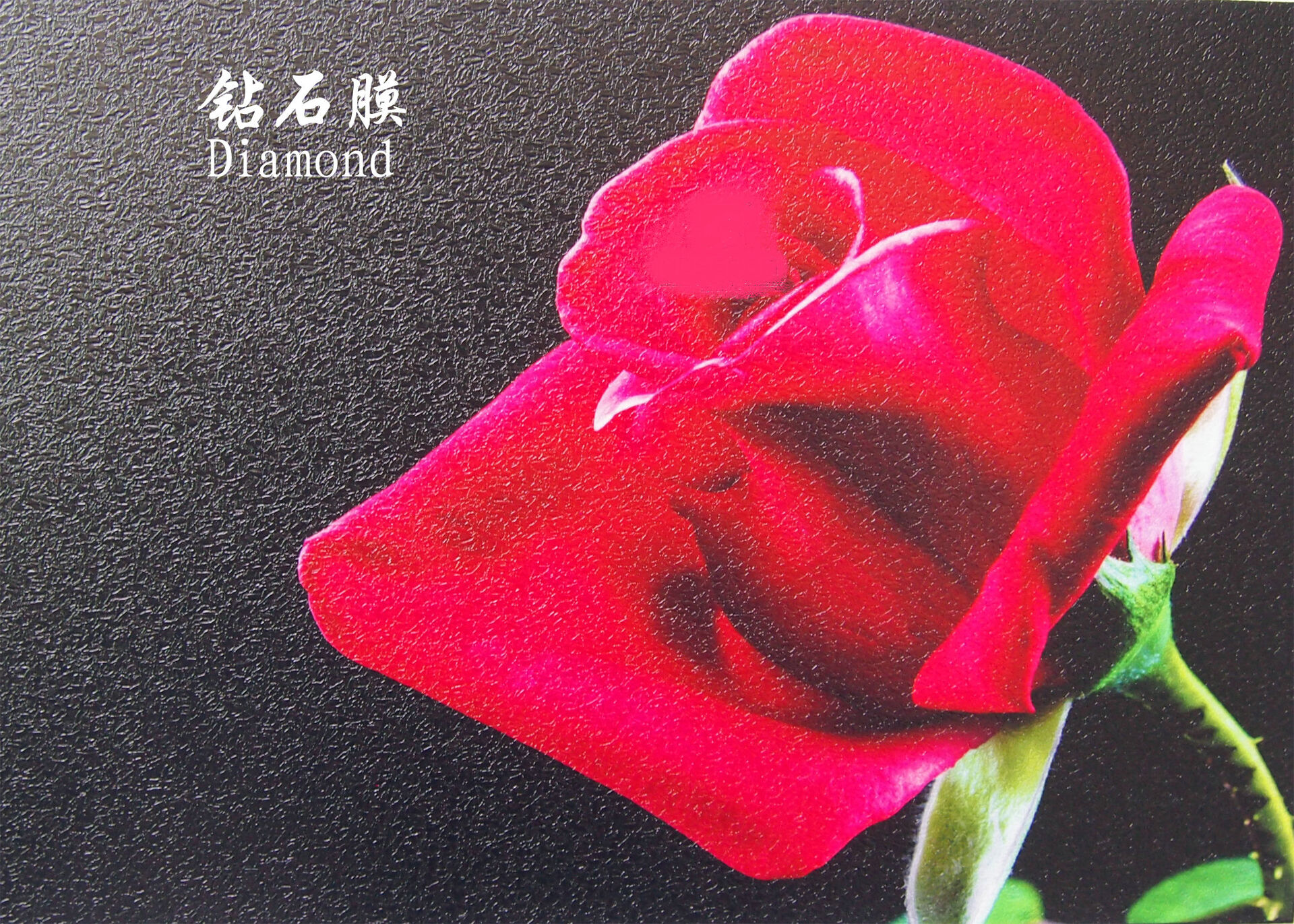 Cold Lamination Film