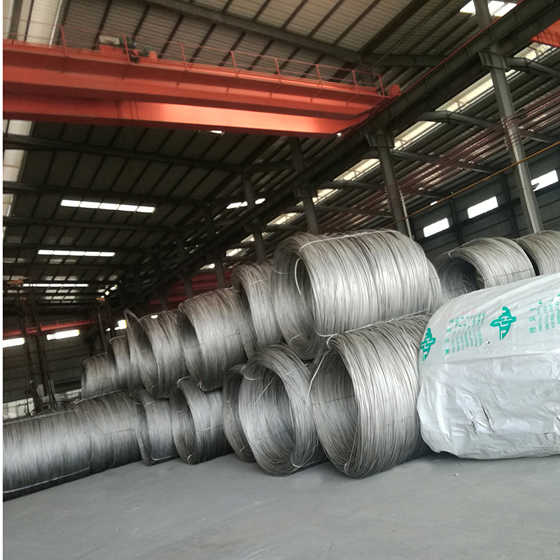 SAE1010 Galvanized wire
