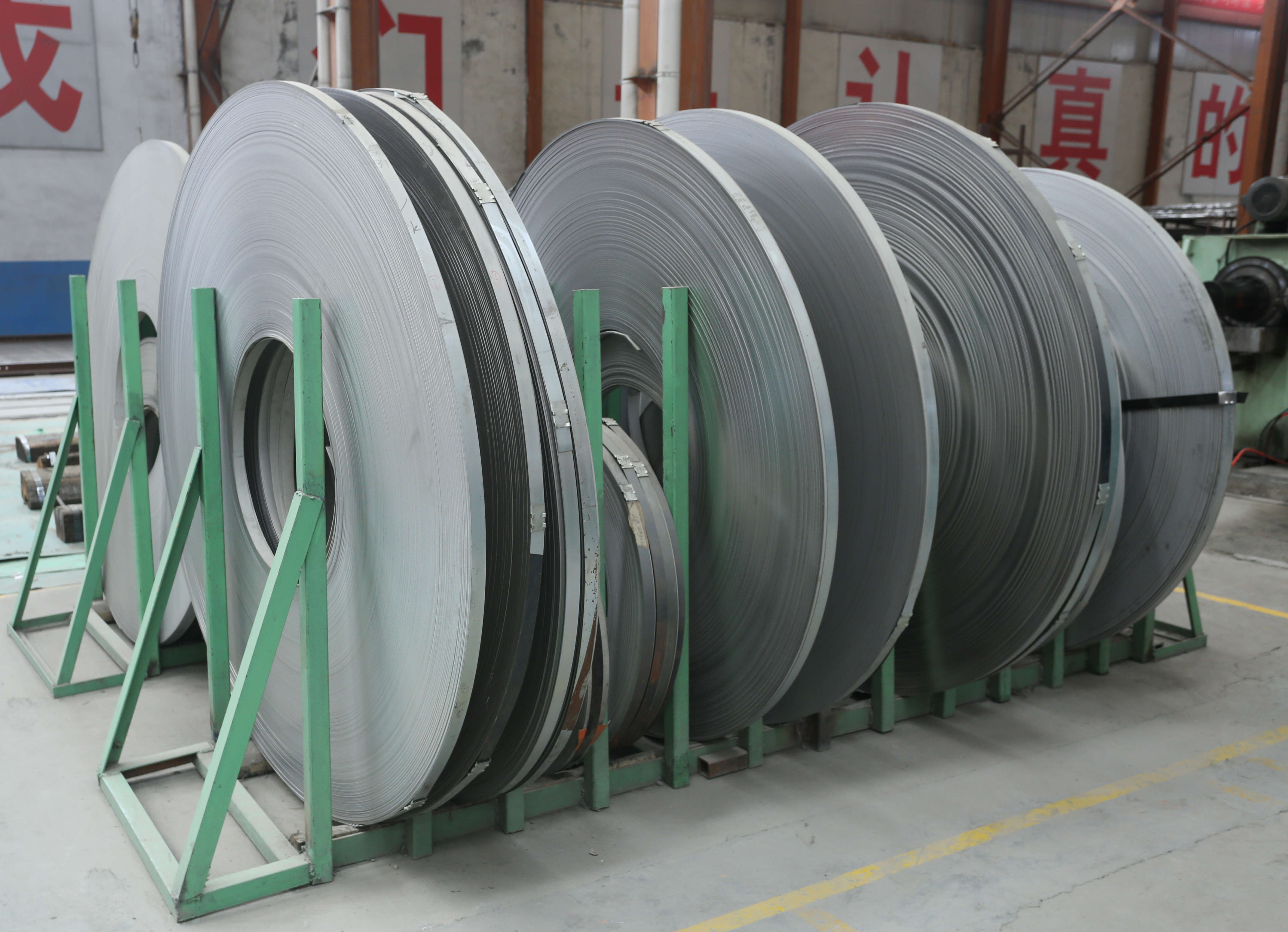 Stainless Steel Strips