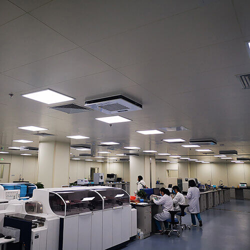 Plasma Ceiling-Mounted Air Disinfector