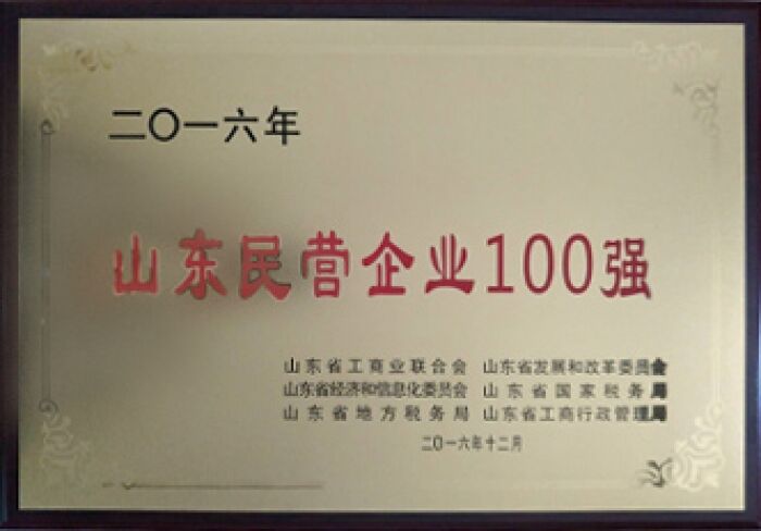 2016 Shandong private Enterprises Top 100