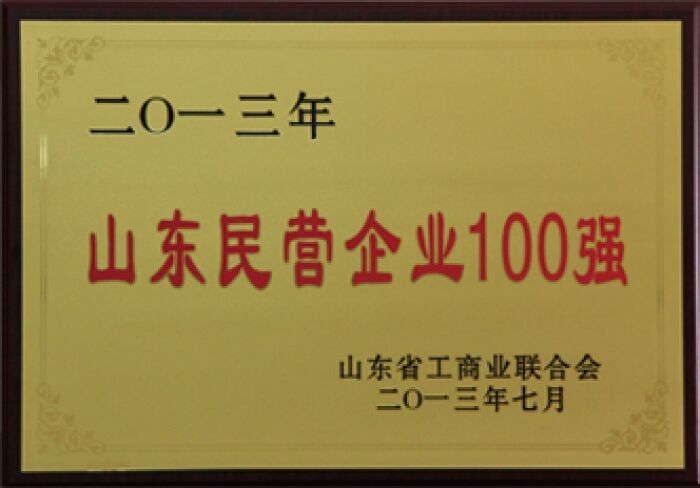 2013 Shandong Private Enterprises Top 100