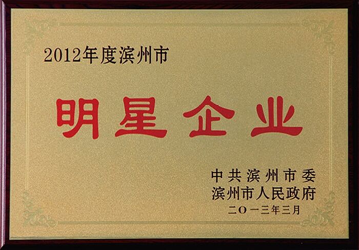 2012 Binzhou Star Enterprise