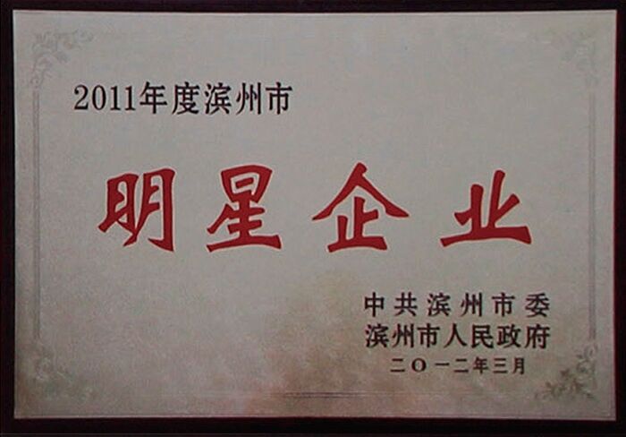 2011 Binzhou Star Enterprise